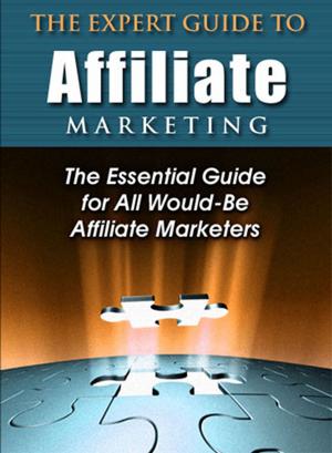 Book cover of The Expert Guide to Affiliate Marketing