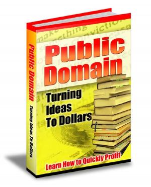 Cover of the book Public Domain: Turning Ideas to Dollars by Dr. Robert C. Worstell, Robert Collier