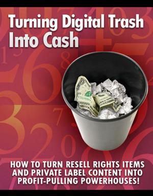 Book cover of Turning Digital Trash into Cash