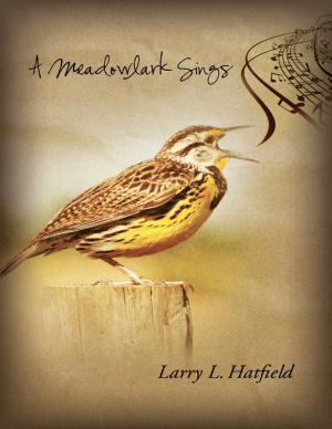 Cover of the book A Meadowlark Sings by M. Secrist