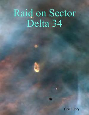 Cover of the book Raid on Sector Delta 34 by Guido Henkel