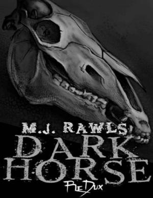 Cover of the book Darkhorse:Redux by Frank McManus