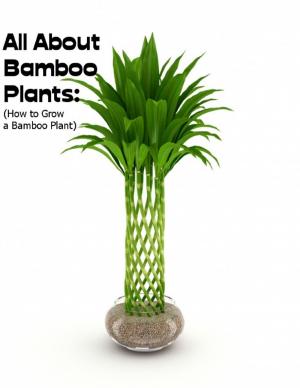 Cover of the book All About Bamboo Plants: (How to Grow a Bamboo Plant) by Jonathan Waite