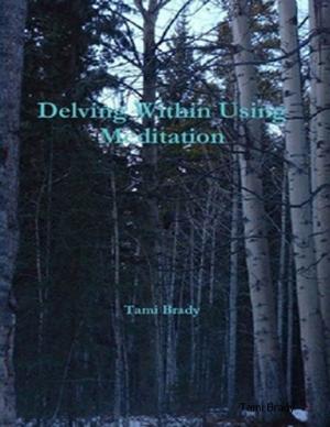 Book cover of Delving Within Using Meditation