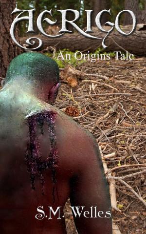 Cover of the book Aerigo: An Origins Tale by Jane Suen