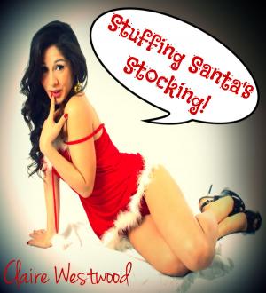 Cover of Stuffing Santa's Stocking (Santa, Cheating, Creampie Erotica)