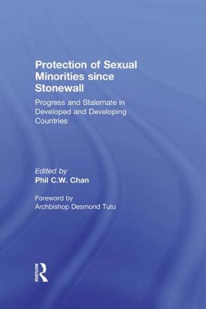 Cover of the book Protection of Sexual Minorities since Stonewall by Alan S. Milward