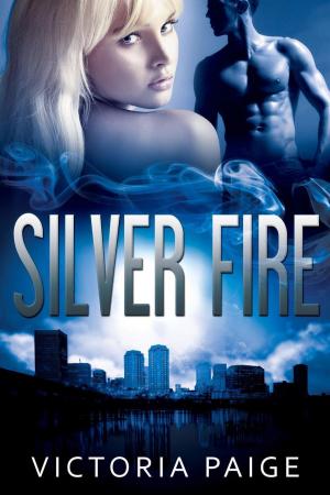 Cover of the book Silver Fire by Martin Rouillard