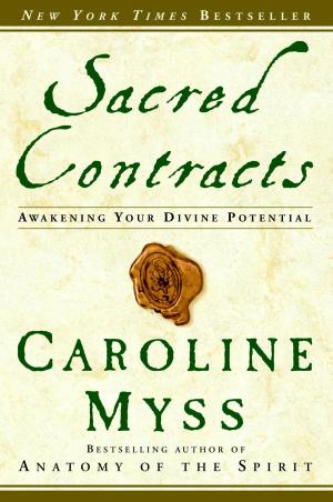Cover of Sacred Contracts