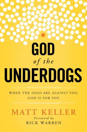 Cover of the book God of the Underdogs by John Reason
