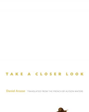 Cover of the book Take a Closer Look by Eviatar Zerubavel