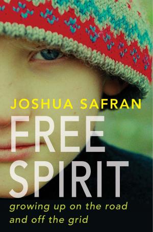 Cover of the book Free Spirit by Deborah Copaken Kogan