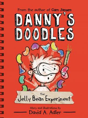 Cover of the book Danny's Doodles by Susan Hughes