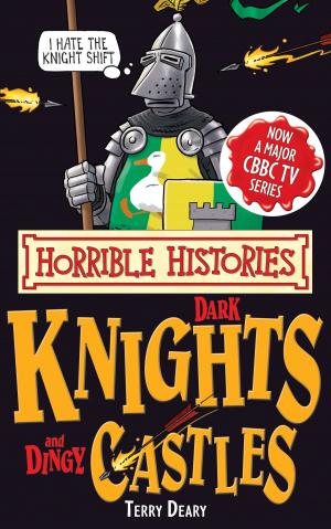 Book cover of Horrible Histories Special: Dark Knights and Dingy Castles