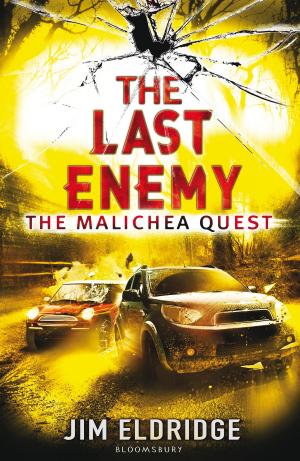bigCover of the book The Last Enemy by 
