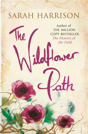 Cover of the book The Wildflower Path by Michael G. Coney