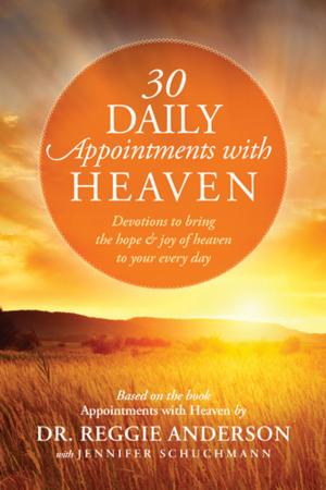 Book cover of 30 Daily Appointments with Heaven