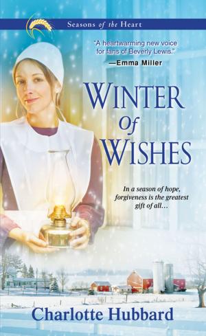 Cover of Winter of Wishes