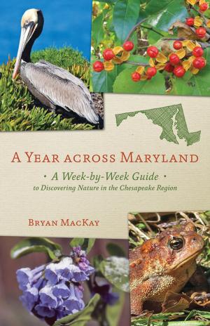 Cover of the book A Year across Maryland by David A. Mindell