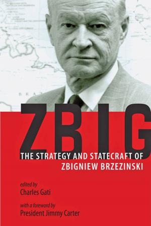 Cover of the book Zbig by Jerusalem Center for Public Affairs