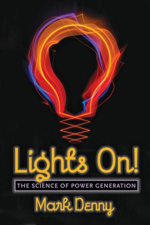 Cover of the book Lights On! by 