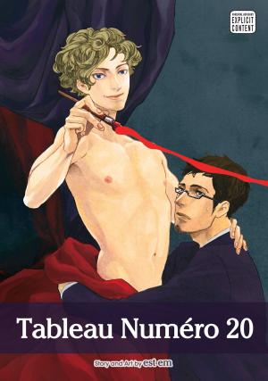 Cover of the book Tableau Numero 20 (Yaoi Manga) by Tsugumi Ohba