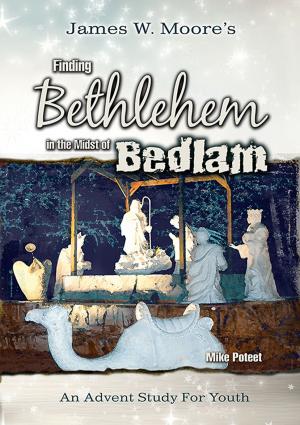 Book cover of Finding Bethlehem in the Midst of Bedlam - Youth Study