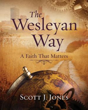 Cover of the book The Wesleyan Way by Olu Brown
