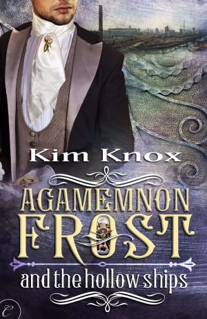 Cover of the book Agamemnon Frost and the Hollow Ships by Natalie J. Damschroder
