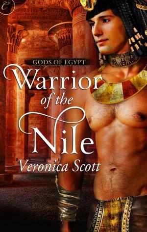 Cover of the book Warrior of the Nile by Laura Navarre