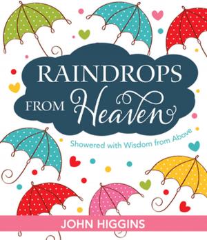 Cover of the book Raindrops from Heaven (eBook) by Fika Janse van Rensburg, Marius Nel