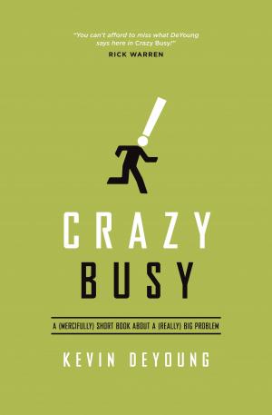 Book cover of Crazy Busy