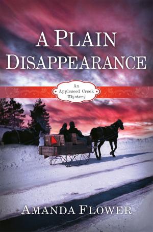 Book cover of A Plain Disappearance