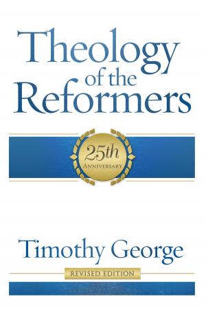 Book cover of Theology of the Reformers