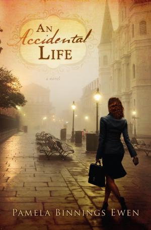 Cover of the book An Accidental Life by 
