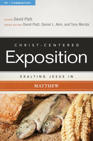 Book cover of Exalting Jesus in Matthew