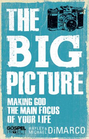 Cover of the book The Big Picture by Dave Earley, David Wheeler