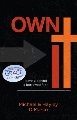 Cover of the book Own It by Dan Vorm, Steve Keels