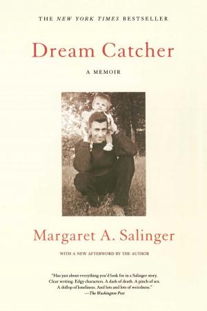 Cover of the book Dream Catcher by Fan Wu