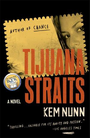 Book cover of Tijuana Straits