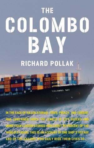 Cover of the book The Colombo Bay by Steve Martini, Linda Fairstein