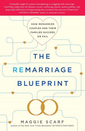 Cover of the book The Remarriage Blueprint by Ann Beattie