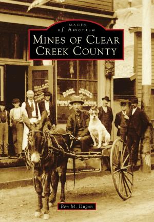 Cover of the book Mines of Clear Creek County by Shannon McRae