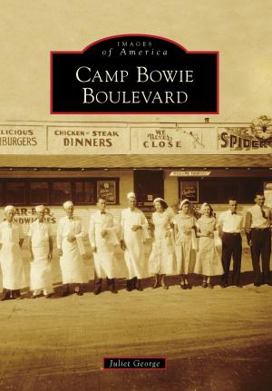 Cover of the book Camp Bowie Boulevard by Debbie Sargent Sullivan, Erica Jill Dumont