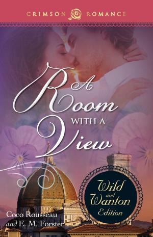 Cover of the book A ROOM WITH A VIEW: THE WILD & WANTON EDITION by Alicia Hunter Pace