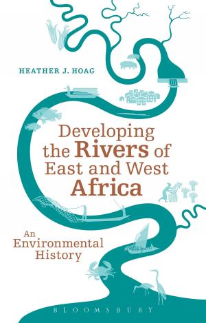 Cover of the book Developing the Rivers of East and West Africa by Brian Gibbons
