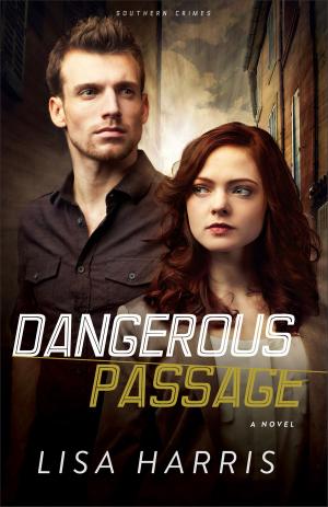 bigCover of the book Dangerous Passage (Southern Crimes Book #1) by 