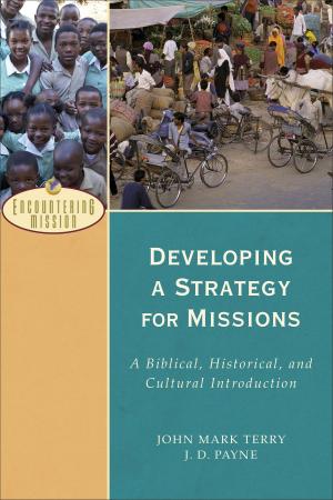 Cover of Developing a Strategy for Missions (Encountering Mission)