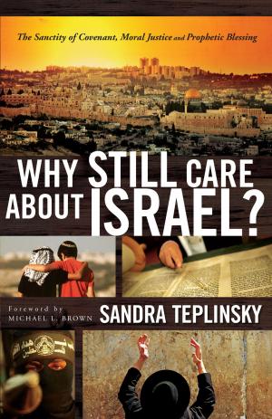 bigCover of the book Why Still Care about Israel? by 