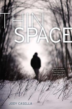 Cover of the book Thin Space by R.L. Stine